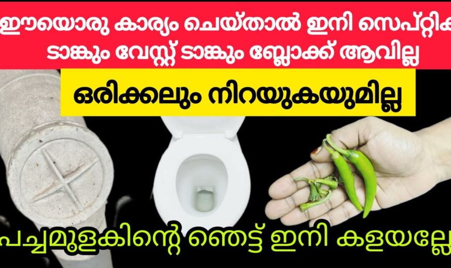 ഇനി ക്ലോസറ്റിലേക്ക് കുറച്ചു മധുരം ആയാലോ