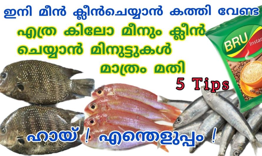 ഇതറിഞ്ഞാൽ ഇനി എത്ര കിലോമീൻ വാങ്ങിയാലും ഈ പ്രശ്നമായി തോന്നില്ല