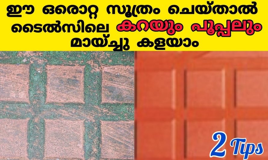 ഇങ്ങനെ ചെയ്താൽ കറയും അഴുക്കും ഒരു തരി പോലും ഇനി അവശേഷിക്കില്ല