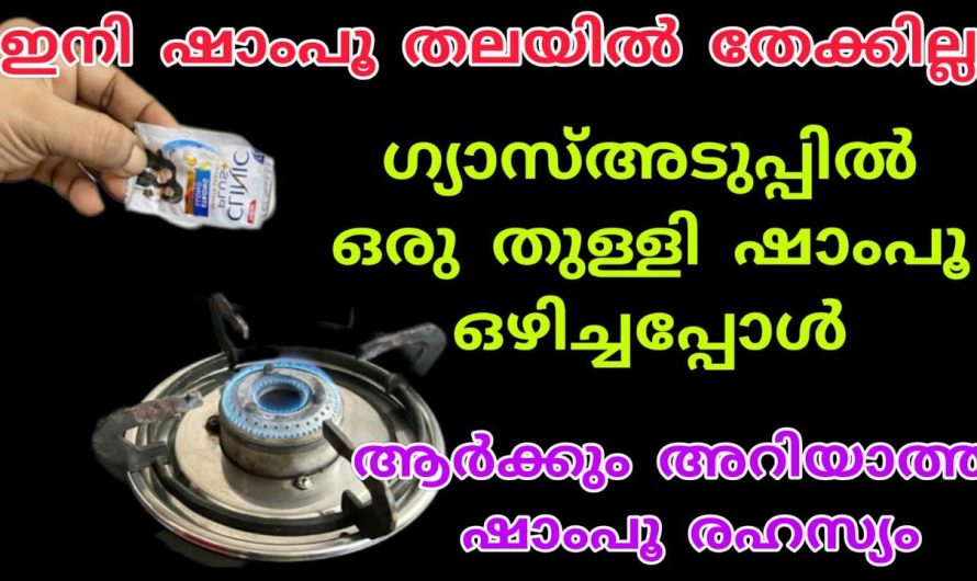 എത്ര വലിയ പാറ്റയും ഇതിനു മുന്നിൽ മുട്ടുമടക്കും.