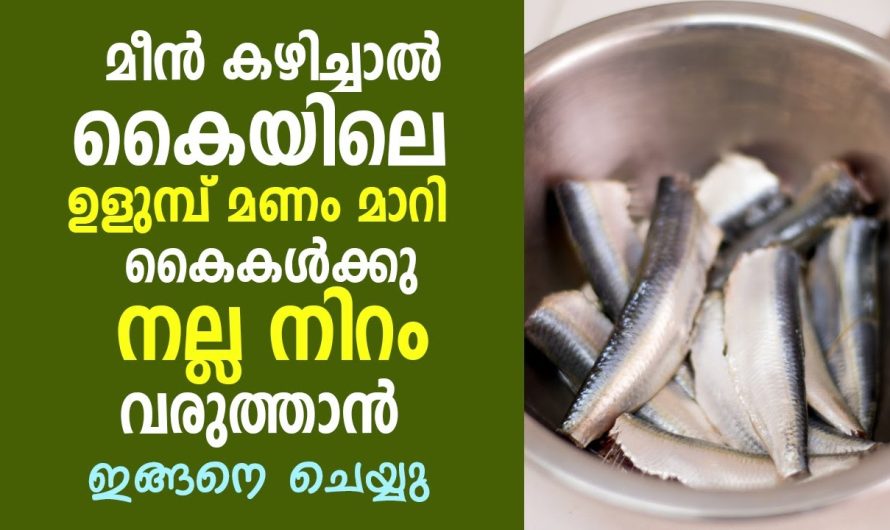 ഇനി നിങ്ങൾ മീൻ വൃത്തിയാക്കിയത് ഒരാളും അറിയില്ല.