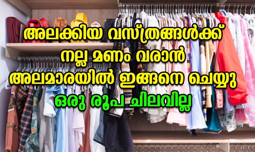 ഷെൽഫിൽ എത്ര നനഞ്ഞ തുണിയുണ്ടെങ്കിലും ഇനി ദുർഗന്ധം വരില്ല