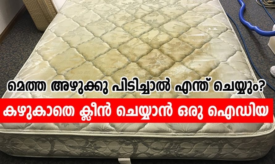 ഇനി കിടക്ക എത്ര വലുതും ആയിക്കോട്ടേ പെട്ടെന്ന് വൃത്തിയാക്കാം