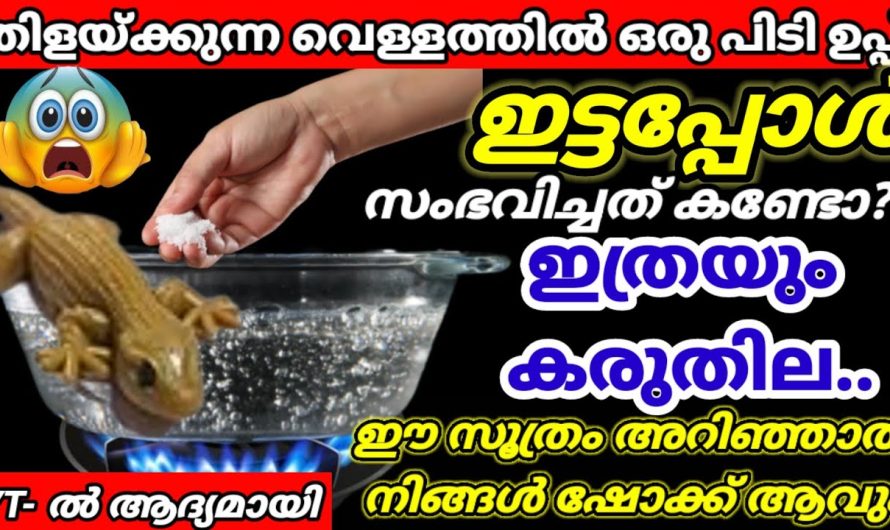 ഇതൊന്നും അറിയാതെ ഉപ്പ് എടുത്തു വെച്ചിട്ട് എന്തുകാര്യം