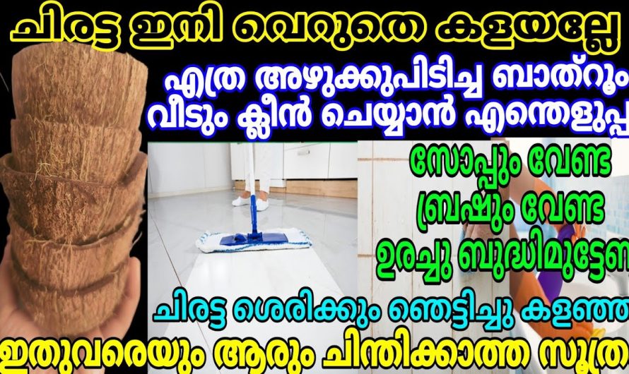 ഇരട്ടി ഫലം എന്നു പറയുന്നത് യഥാർത്ഥത്തിൽ ഇതാണ്