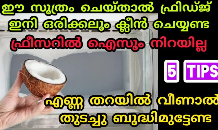 ഇനി ഫ്രിഡ്ജ് വൃത്തിയാക്കാൻ ഒരു വർഷം കഴിഞ്ഞാലും ഒന്നും സംഭവിക്കില്ല