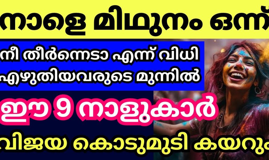 വരുന്നത് മിഥുനമാണ് നിങ്ങൾക്കിനി സൗഭാഗ്യത്തിന്റെ പെരു മഴ ആണ്