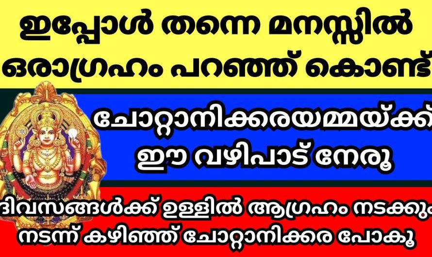 ആഗ്രഹമെന്താ ഇപ്പോൾ തന്നെ മനസ്സിൽ പറഞ്ഞുള്ളൂ.