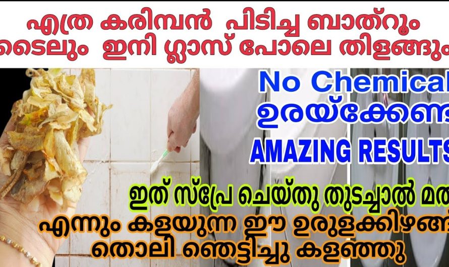 ഇനി ഉരുളക്കിഴങ്ങന്റെ തൊലി പോലും വെറുതെ കളയാനില്ല