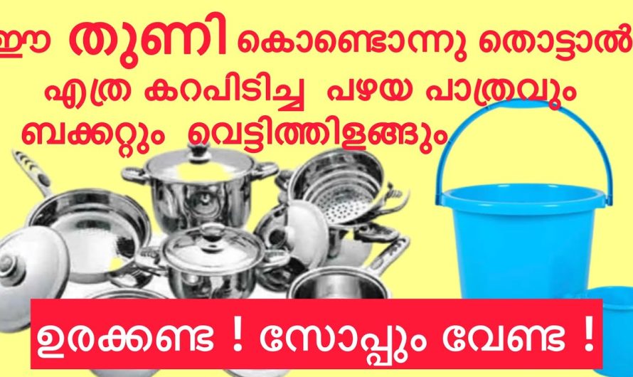 ഇനി തുണികളും പാത്രങ്ങളും ഒരുപോലെ ഭംഗിയാകും ഈ മിക്സ്.