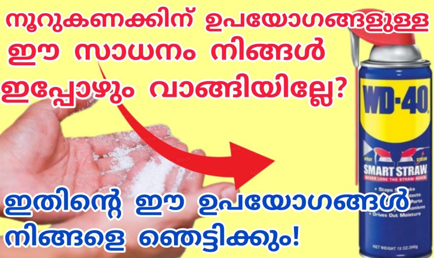 ഇത് ഒരെണ്ണം കയ്യിലുണ്ടെങ്കിൽ ഇനി പലതും എളുപ്പത്തിൽ നടക്കും