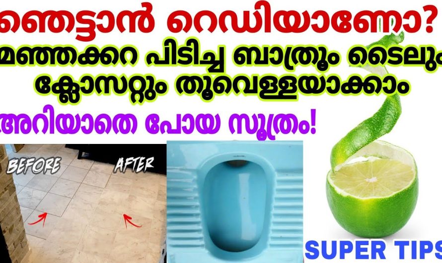 പണവും ലാഭവും പണിയും ലാഭം ഇതുണ്ടെങ്കിൽ കാര്യങ്ങൾ എളുപ്പം.