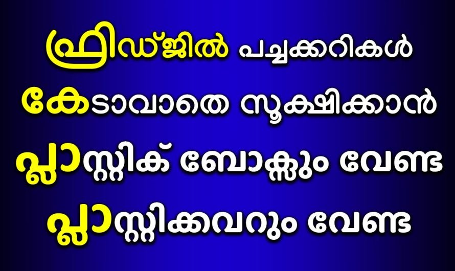 ഫ്രിഡ്ജിൽ ഇനി പച്ചക്കറി എത്ര നാൾ വച്ചാലും കുഴപ്പമില്ല