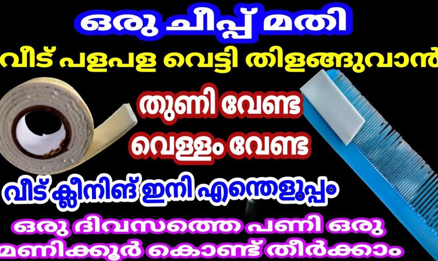 ഇതുകണ്ടാൽ നിങ്ങളും ക്ലീനിങ് അറിയാതെ ചെയ്തുപോകും