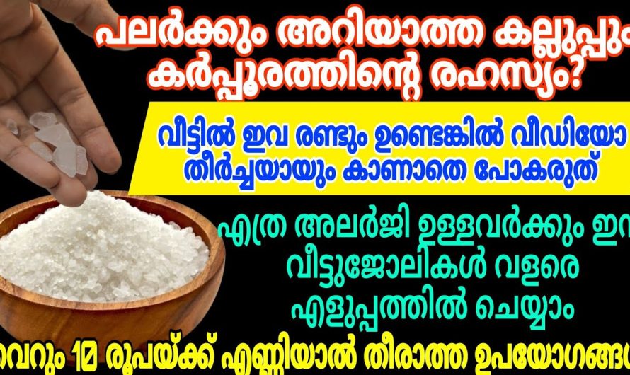 കർപ്പൂരവും ഒപ്പം ഉപ്പും കൂടി ചേർന്നാൽ സംഭവിക്കുന്നത്.