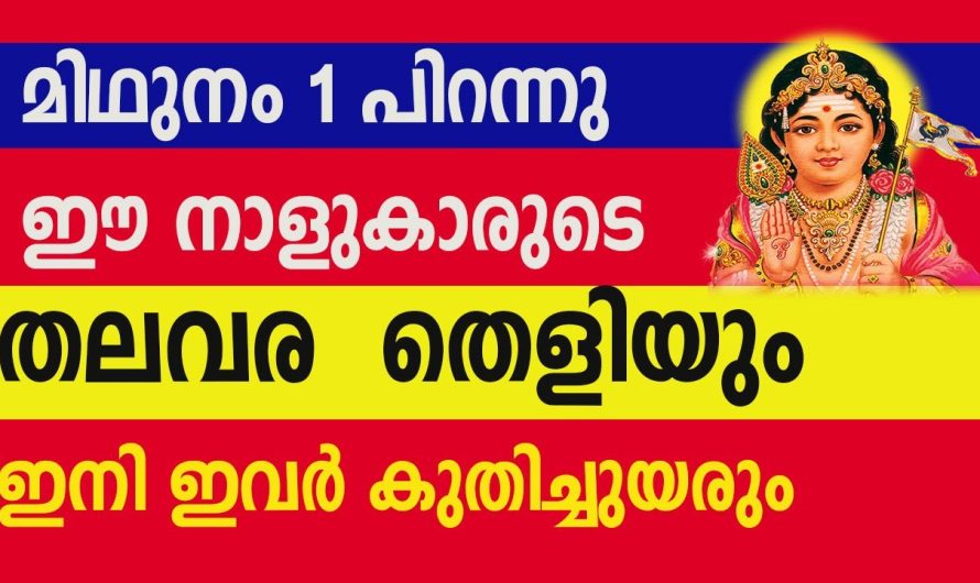 ഈ മിഥുനം ഒരു മിഥ്യ അല്ല നിങ്ങളും ഇനി ഒരു ധാരാളി ആകും