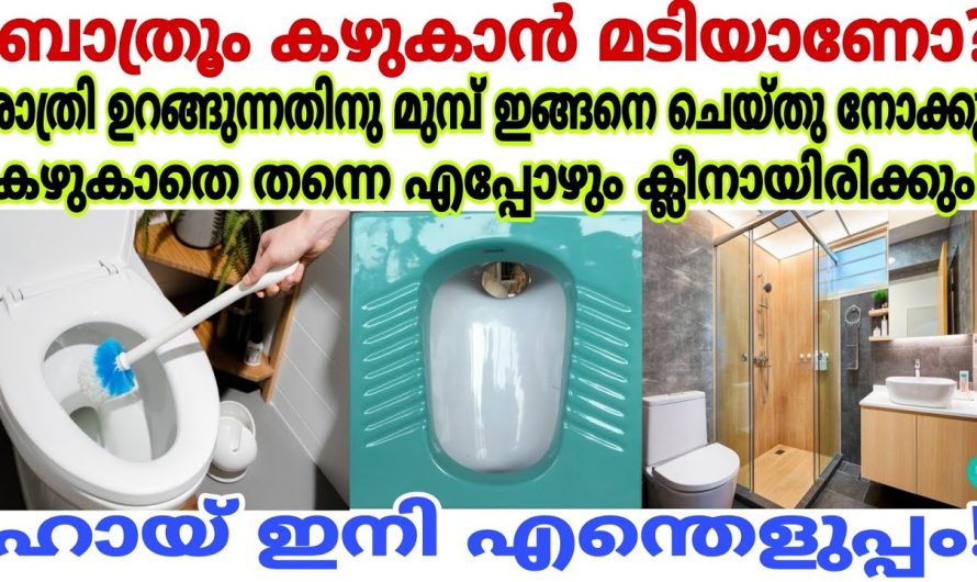 ഇനി ഉരയ്ക്കാനും കഴുകാനും ഒന്നും പോകണ്ട അല്ലാതെ തന്നെ ക്ലീൻ ചെയ്യാം