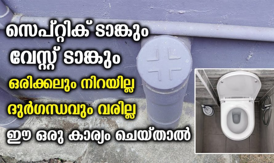 ക്ലോസേറ്റ് ആണെങ്കിലും വരുന്നത് സുഗന്ധം ആണെങ്കിൽ ഇടയ്ക്കിടെ ടോയ്‌ലെറ്റിൽ പോകും.