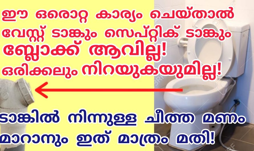 ഇനി ഒരിക്കലും നിങ്ങൾക്ക് ഈ ഒരു പ്രശ്നം വരില്ല