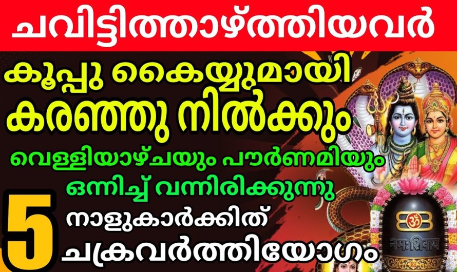 തള്ളി പറഞ്ഞവരെല്ലാം ഇനി നിങ്ങളെ പാടി പുകഴ്ത്തും