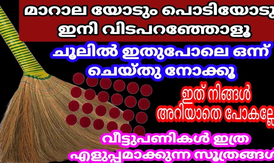 നിങ്ങൾക്കും ഈ കുഞ്ഞു പൊട്ടിന്റെ അത്ഭുതം വിശ്വസിക്കാൻ ആകുമോ