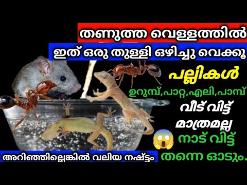 ഇതുവരെ ആരും ചെയ്യാത്ത കാര്യം ഒന്നു ട്രൈ ചെയ്തു നോക്കു.