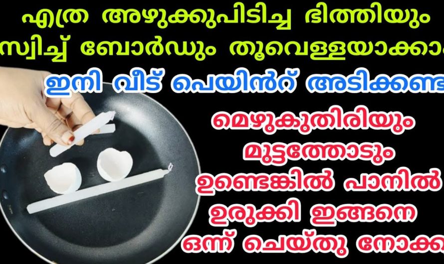 കറപിടിച്ച ചുമരുകളും പുത്തൻ പോലെ മാറ്റിയെടുക്കാം.