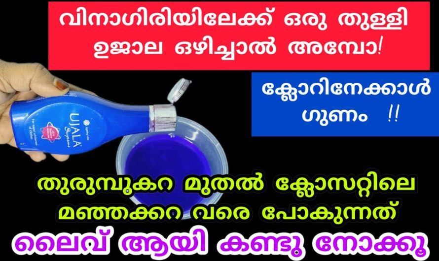 കയ്യില് ഉജാലയുണ്ടോ എങ്കിൽ വേഗം വരു.