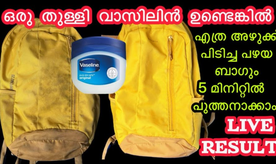 പഴയ ബാഗുകൾ പുതുപുത്തൻ ആക്കാം പുതിയത് വാങ്ങി പണം കളയേണ്ട.