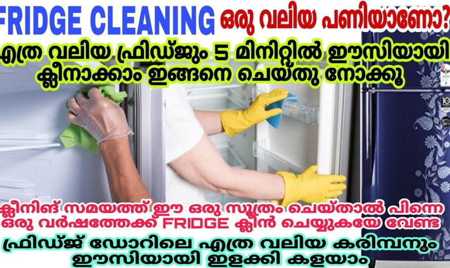 വർഷങ്ങൾക്കു ശേഷം ആയാലും ഇങ്ങനെ ചെയ്താൽ നിങ്ങളുടെ ഫ്രിഡ്ജ് പുതിയത് പോലെ