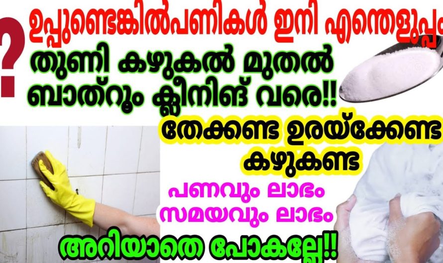 ഇനി കറികളിൽ മാത്രമല്ല ക്ലോസറ്റിലും കുറച്ച് ഉപ്പിട്ടാലോ.