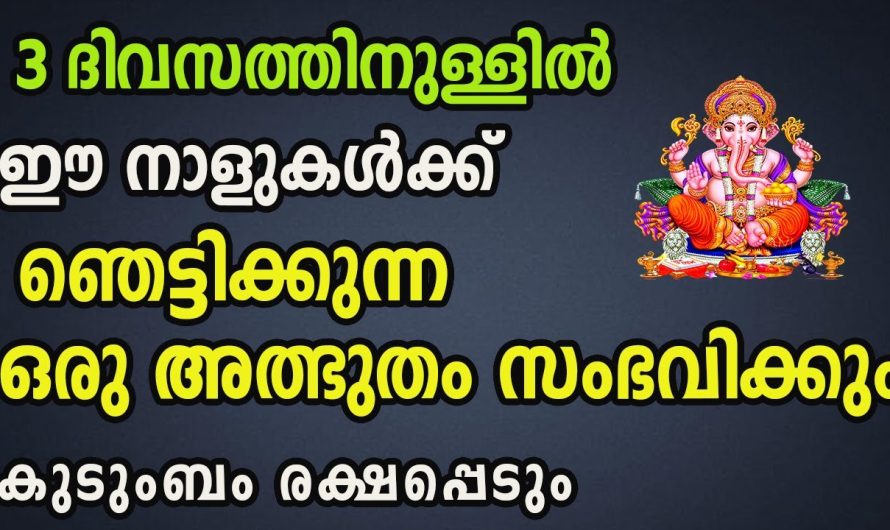 വരുന്ന നാളുകളിൽ കുതിച്ചുയരാൻ പോകുന്ന ചില നക്ഷത്രക്കാർ.