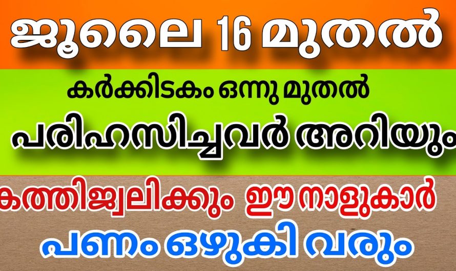 പരിഹസിച്ചവർ എല്ലാം ഇനി നിങ്ങളെക്കുറിച്ച് വാനോളം പുകഴ്ത്തും.