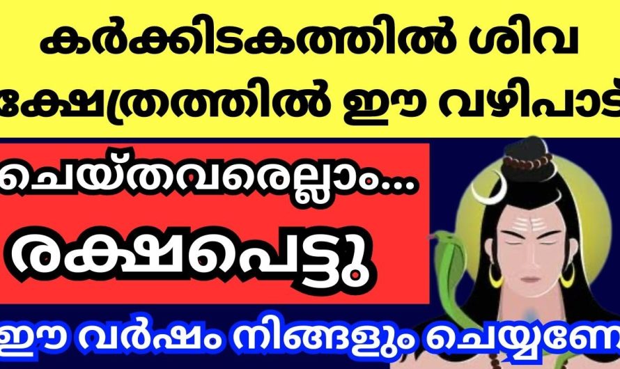 കർക്കിടകത്തിലെ ഈ ഒരു വഴിപാട് കൊണ്ട് സംഭവിക്കുന്നത് .