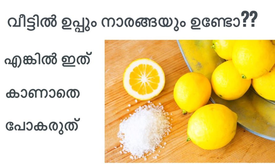 നാരങ്ങയും ഉപ്പും വീട്ടിലുള്ളവരൊന്നും ഇത് കാണാതെ പോകരുത്.