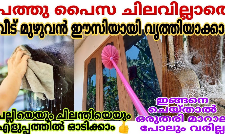 ഇനി വീട് വൃത്തിയായില്ലെന്ന് ആരും പറയില്ല.