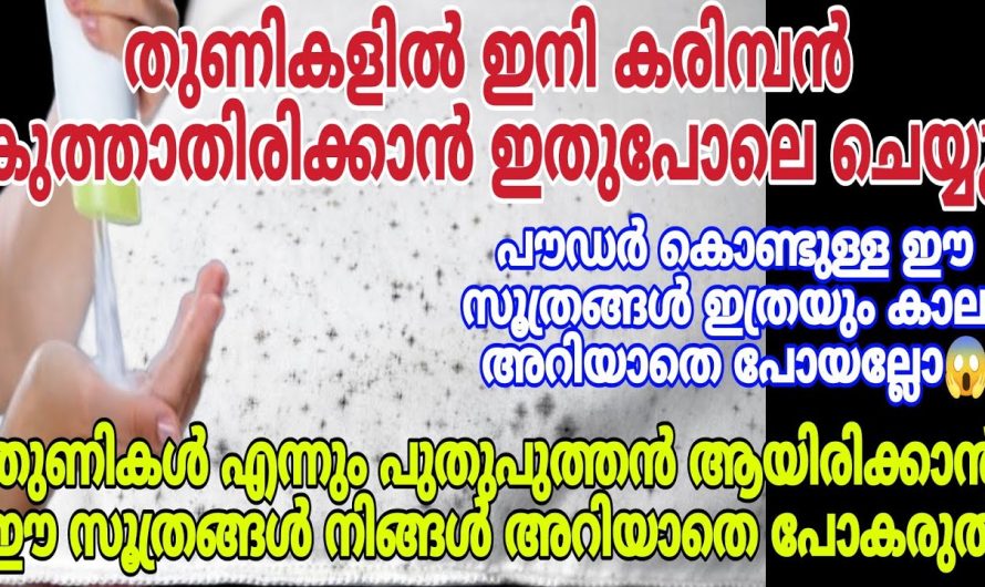 ഇനി പാത്രങ്ങളും പൗഡർ ഇട്ട് മിനുങ്ങും.