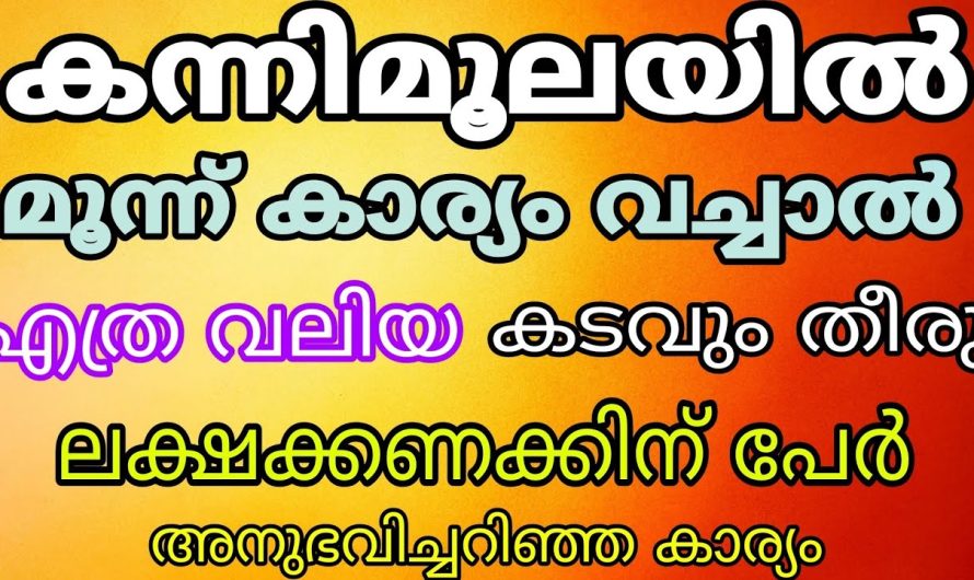 കന്നിമൂല ഇങ്ങനെയായാൽ പിന്നെ ഒന്നിനെക്കുറിച്ചും ചിന്തിക്കേണ്ട.