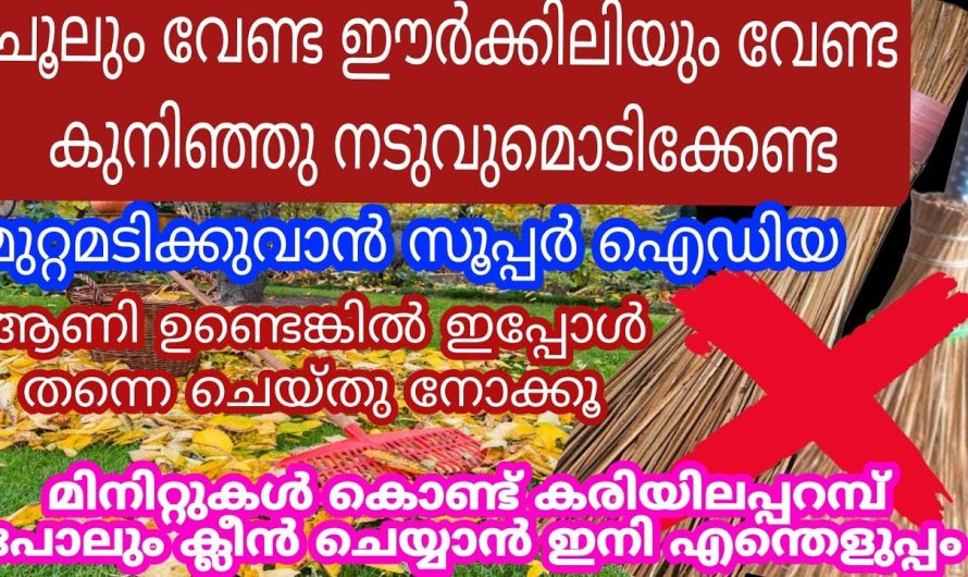 ചവർ ഇനി എവിടെ വേണമെങ്കിലും നീക്കം ചെയ്യാൻ വളരെ എളുപ്പം.