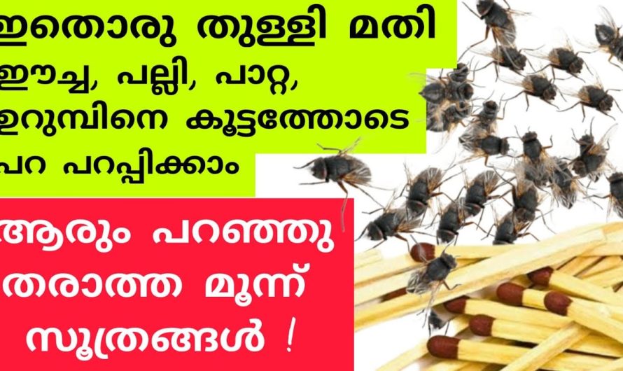 അതിശയിപ്പിക്കുന്ന റിസൾട്ട് ഇങ്ങനെയൊക്കെ ചെയ്യാമോ എന്ന് നിങ്ങളും സംശയിച്ചേക്കാം.