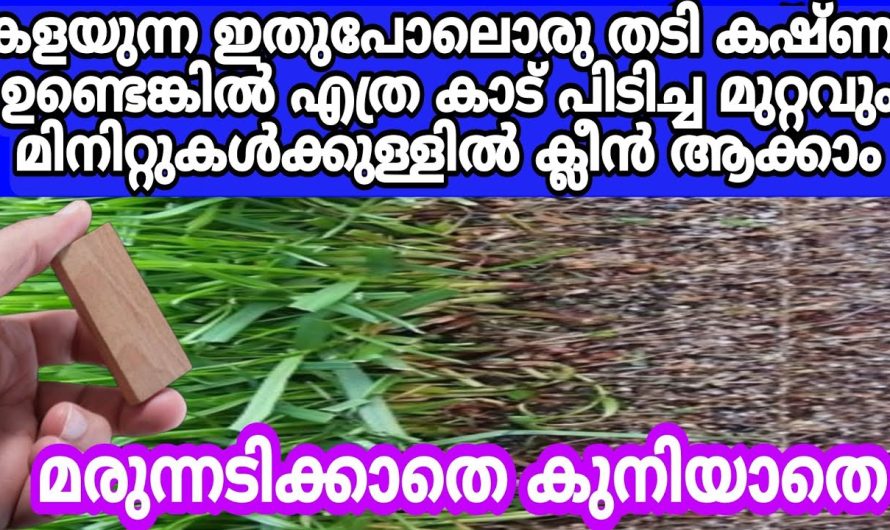 ഏതു മഴക്കാലത്തും മുറ്റം വൃത്തിയാക്കാൻ ഒരു പട്ടിക കഷണം മതി