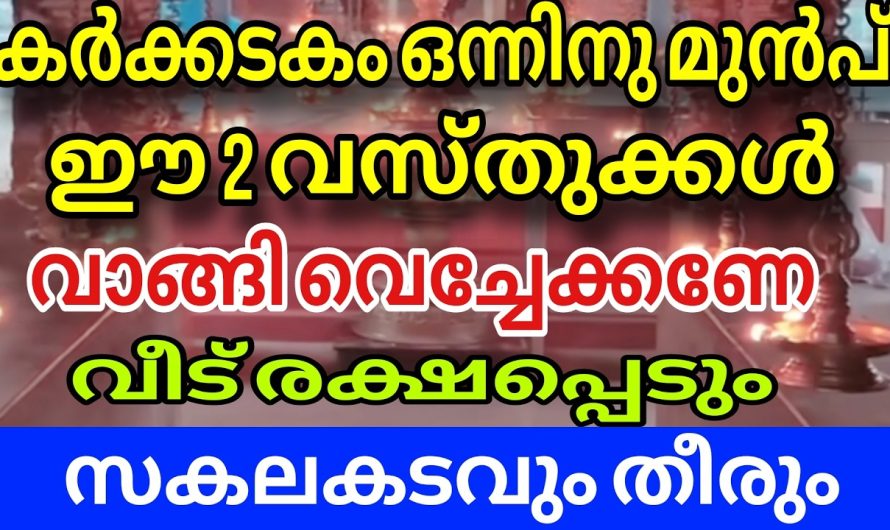 കർക്കിടകത്തിൽ ഇതുരണ്ടും ഒന്ന് വാങ്ങിവെച്ചു നോക്കൂ.