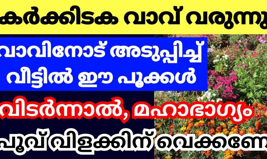 വാവിനോട് അനുബന്ധിച്ച് ഈ പൂക്കൾ വീട്ടിൽ വിടർന്നാൽ സംഭവിക്കുന്നത്