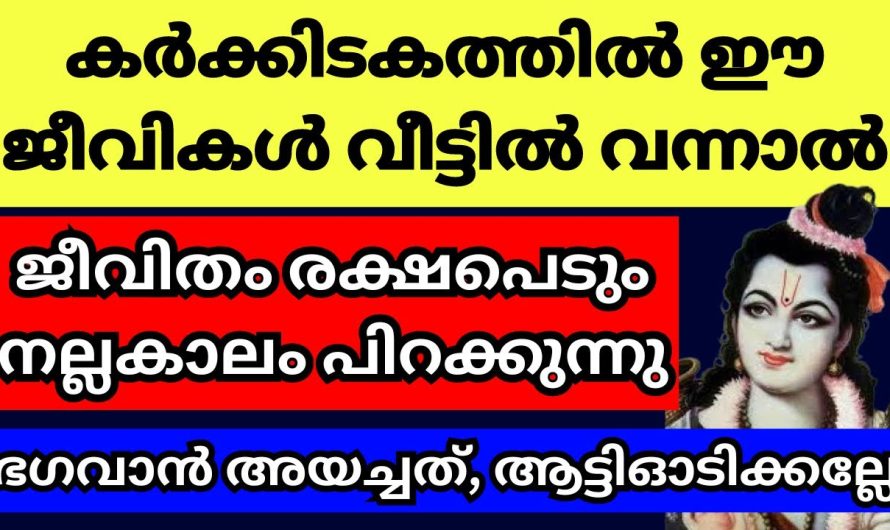 ഈ കർക്കിടകത്തിൽ ഈ ജീവികൾ വീട്ടിൽ വന്നാൽ സംഭവിക്കുന്നത്