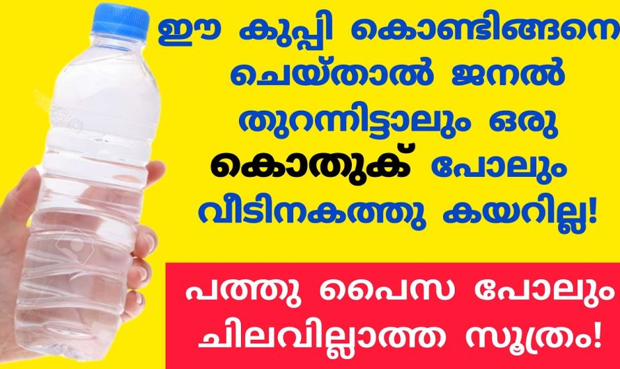 ഇത് മണത്താൽ കൊതുക് ഇനി ആ പ്രദേശത്തേക്ക് പോലും വരില്ല.