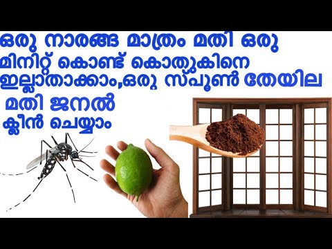 ഇത്രയും മാർഗങ്ങൾ ഉണ്ടായിട്ടാണോ ഇത്രയും നാൾ കൊതുകടി കൊണ്ടത്