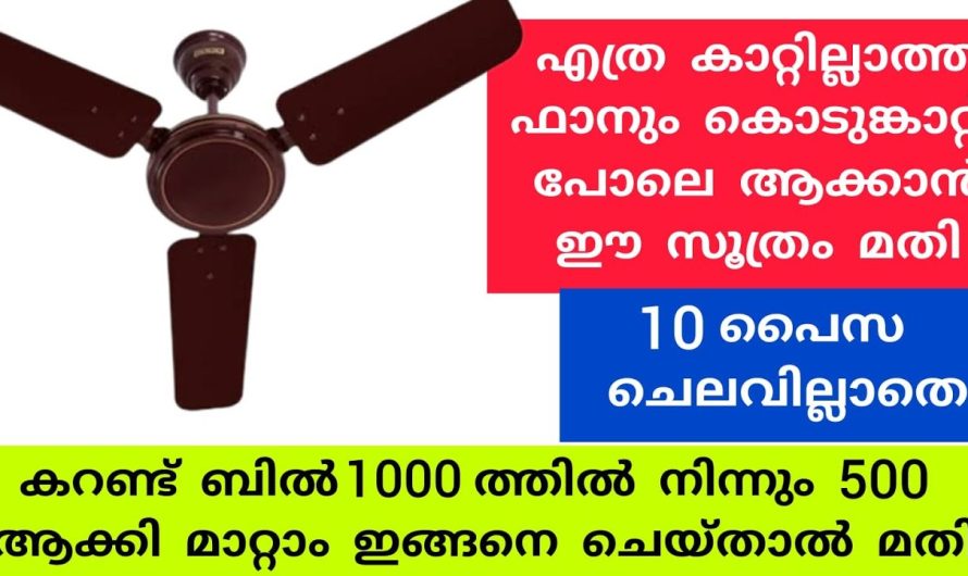 ഇനി ഫാനിന്റെ കാറ്റ് ഇരട്ടിയാകും കരണ്ട് ബില്ല് പകുതിയാകും.