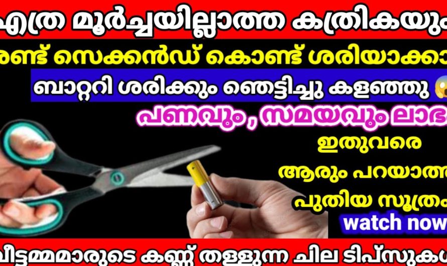 ഇനി കത്രിക കൂടുതൽ മൂർച്ചയുള്ളതാക്കാൻ ഇങ്ങനെ ചെയ്യൂ