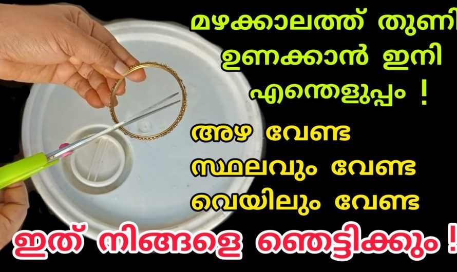 ഈ പെരുമഴയെത്തും ഏതു തുണിയും ഉണങ്ങി കിട്ടും