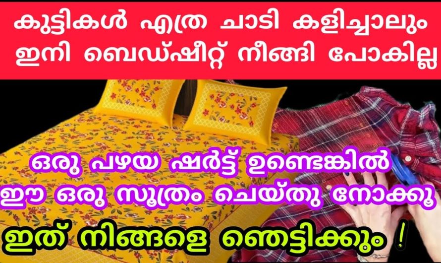 ഇനി പഴയതെന്നൊന്നും ഇല്ല, ഇതാണ് ശരിക്കുമുള്ള യൂസ്.